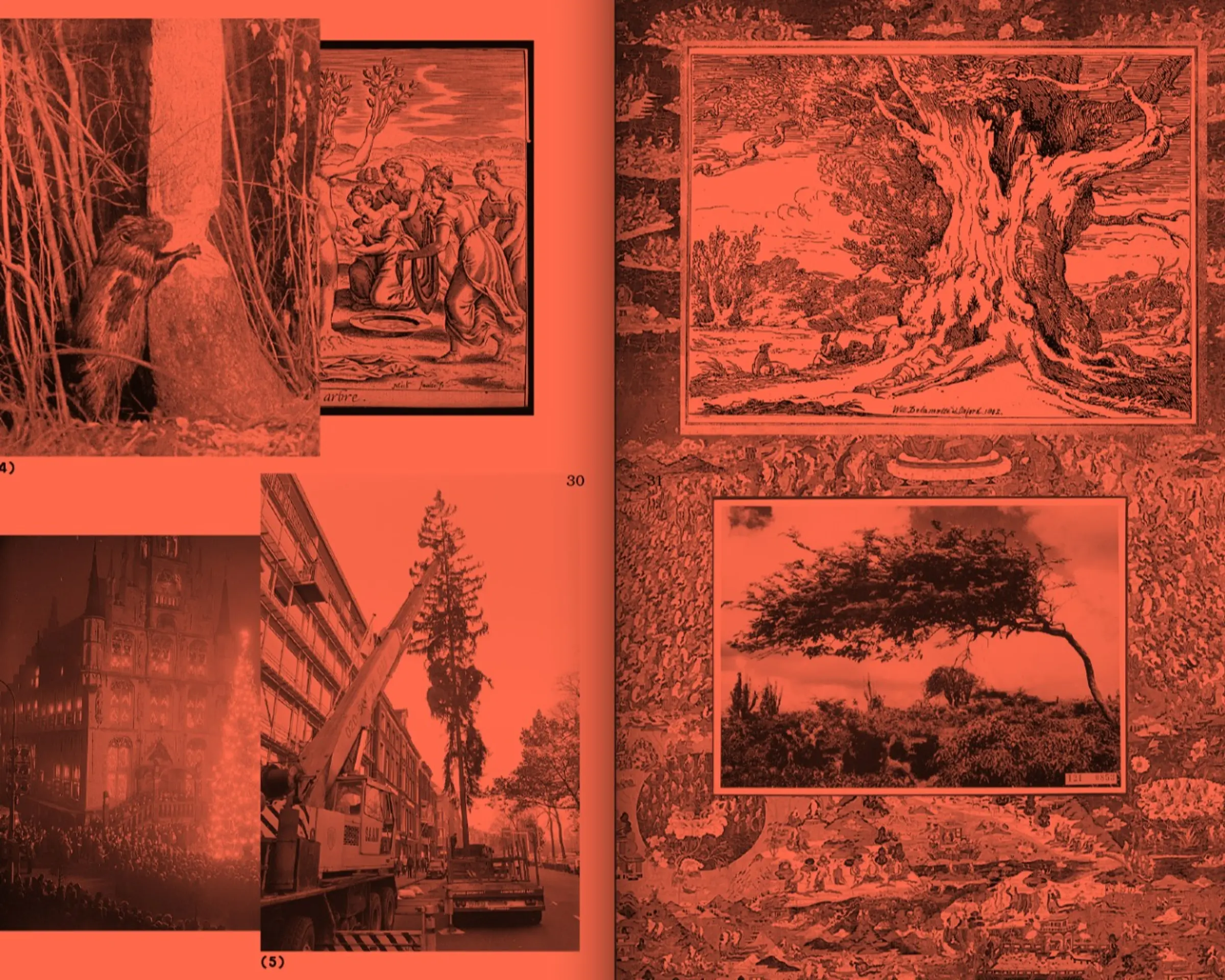 inside the book- a tree