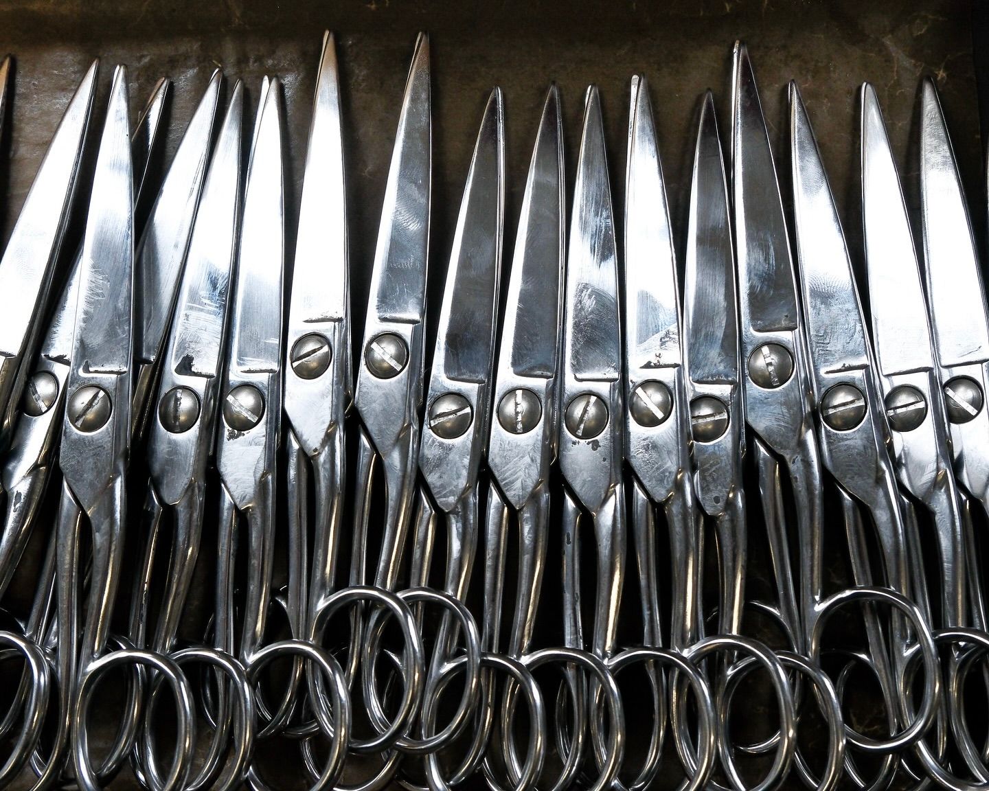 a collection of Ernest Wright general purpose scissors in a wooden tray