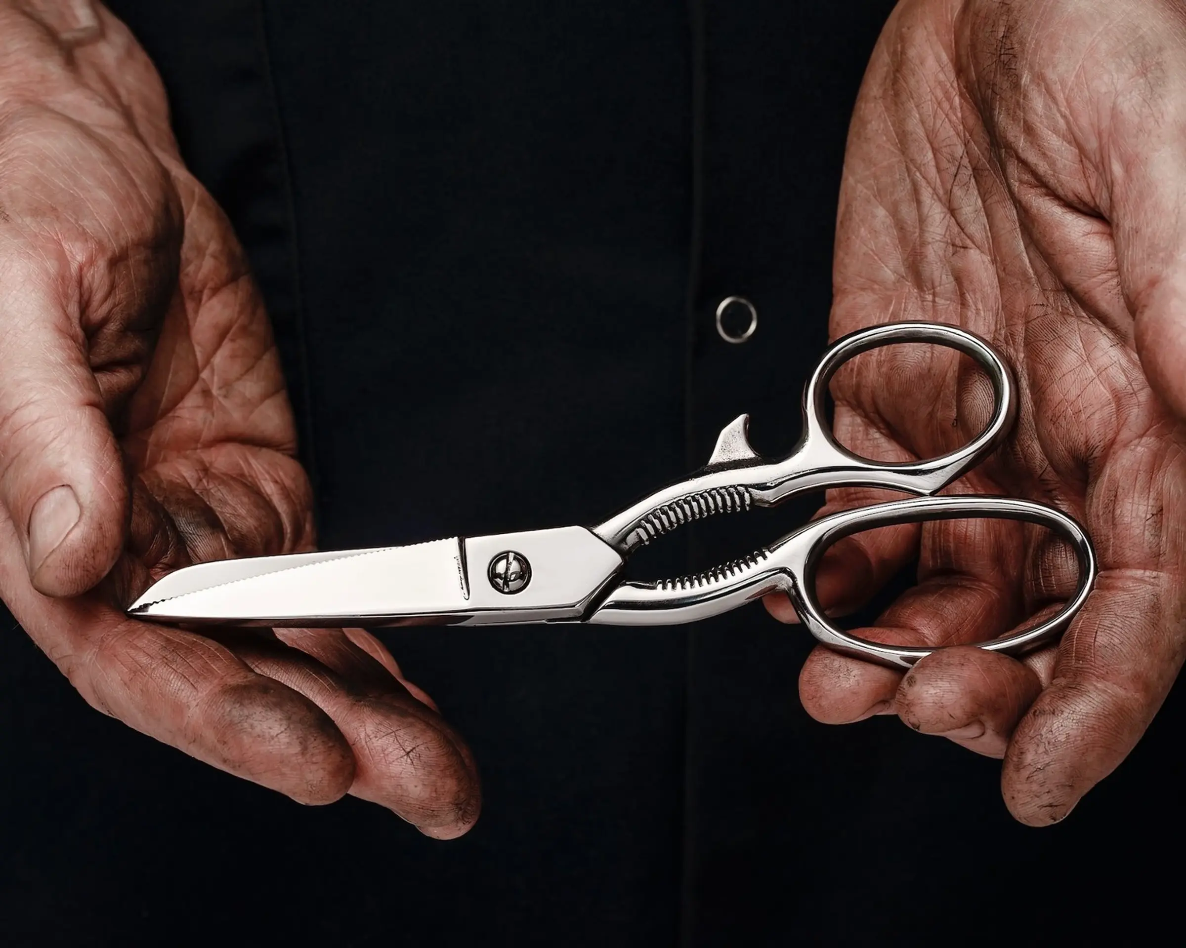 kitchen scissors freshly polish in a putters hands