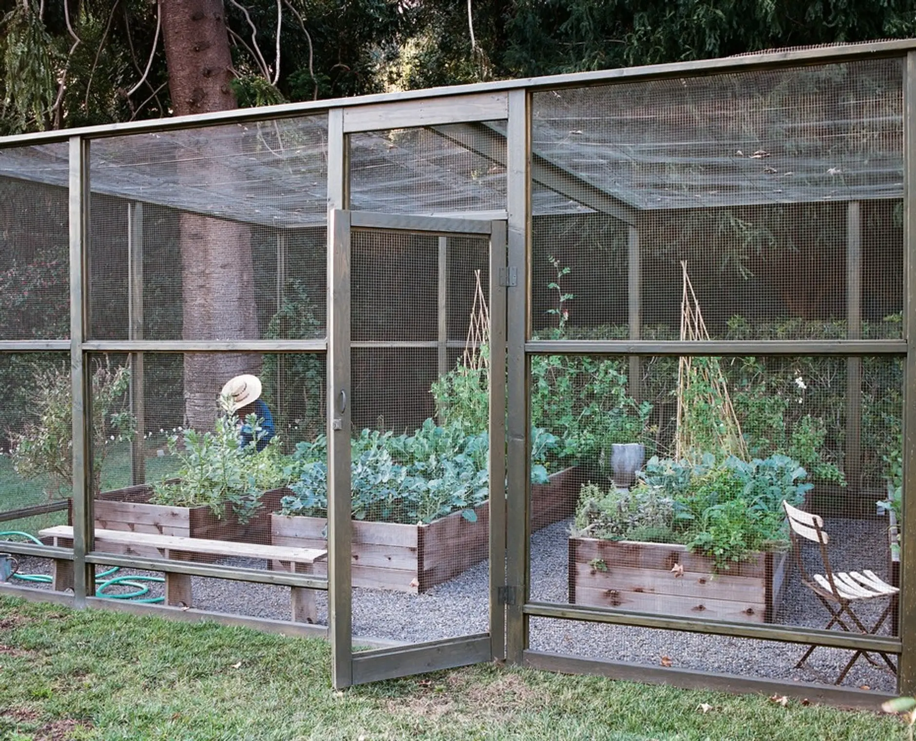 vegetable garden