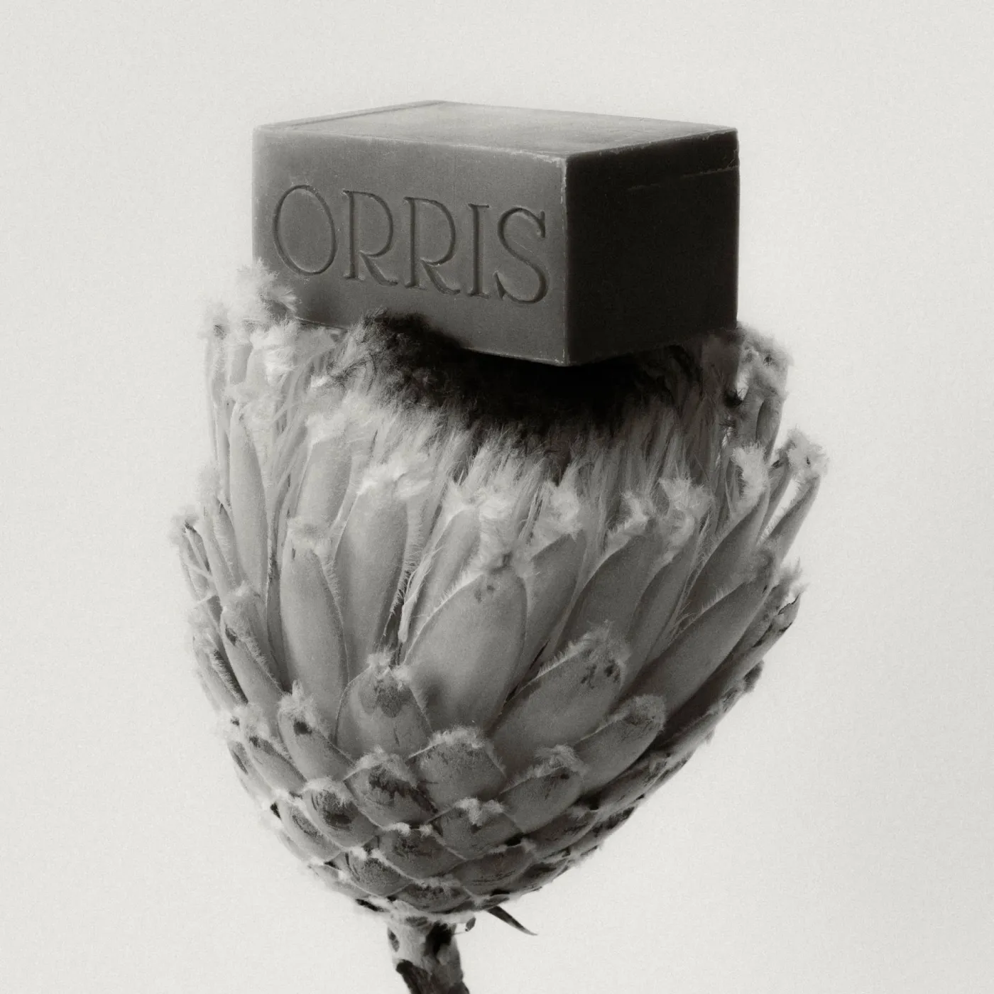 ORRIS Ancestral soapmaking traditions meet modern luxury and care.