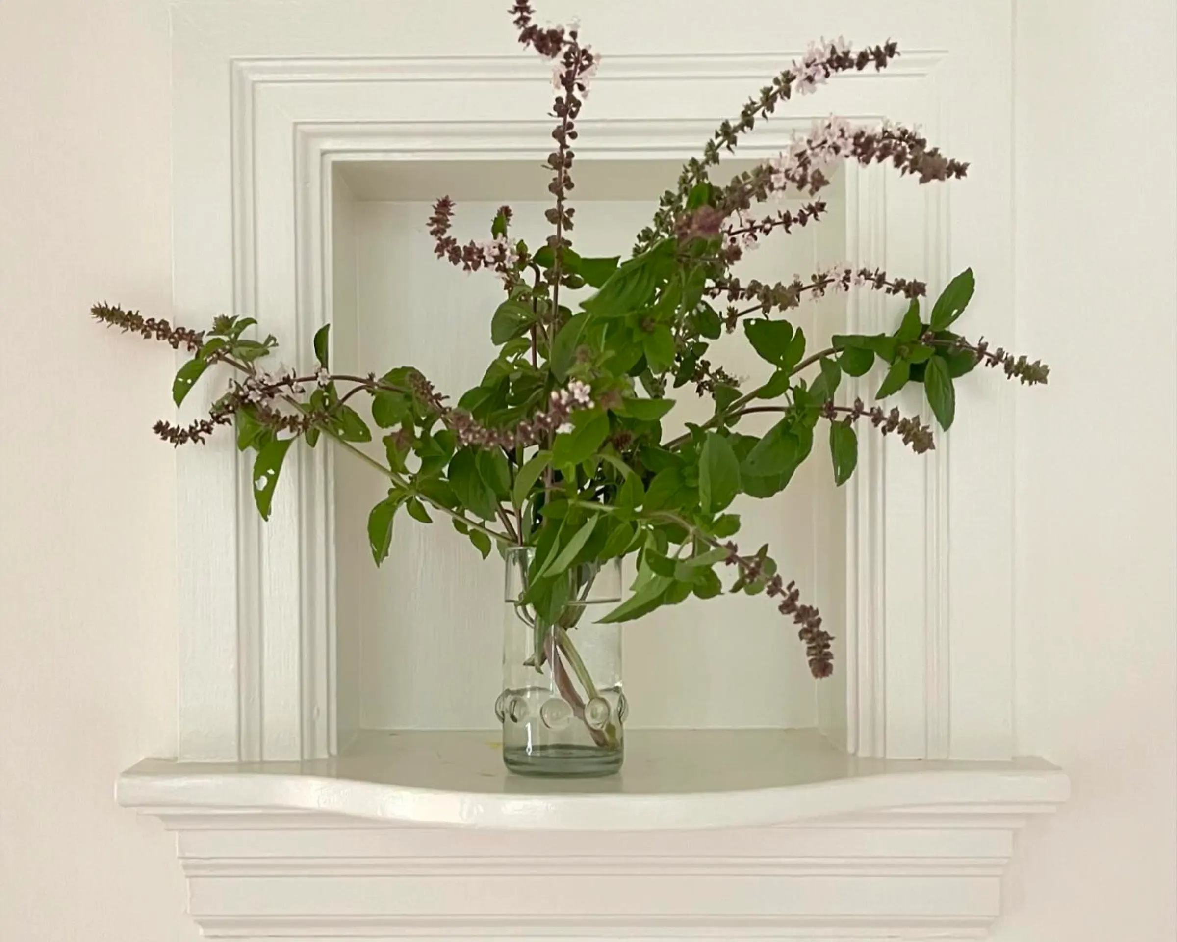 Tall Dots glass with flowers in it on a shelf