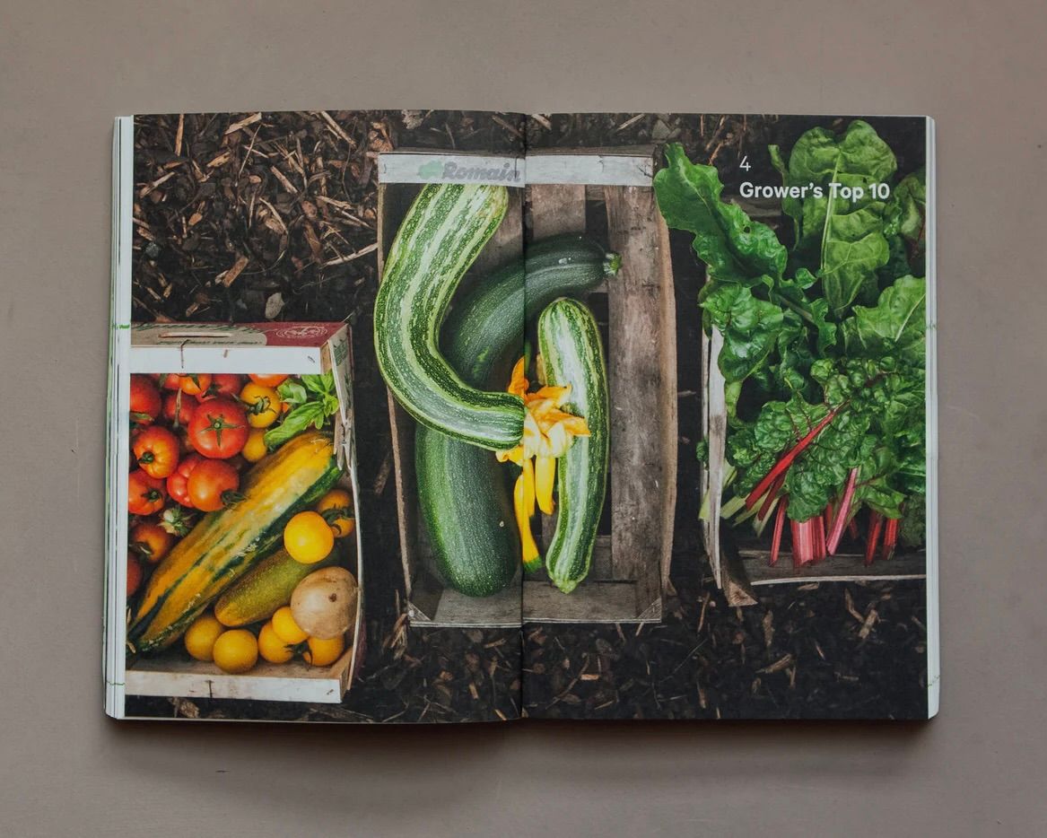 An image inside of the 'Do Grow' book with an image of home grown zucchini, tomatoes, rhubarb ontop of soil.