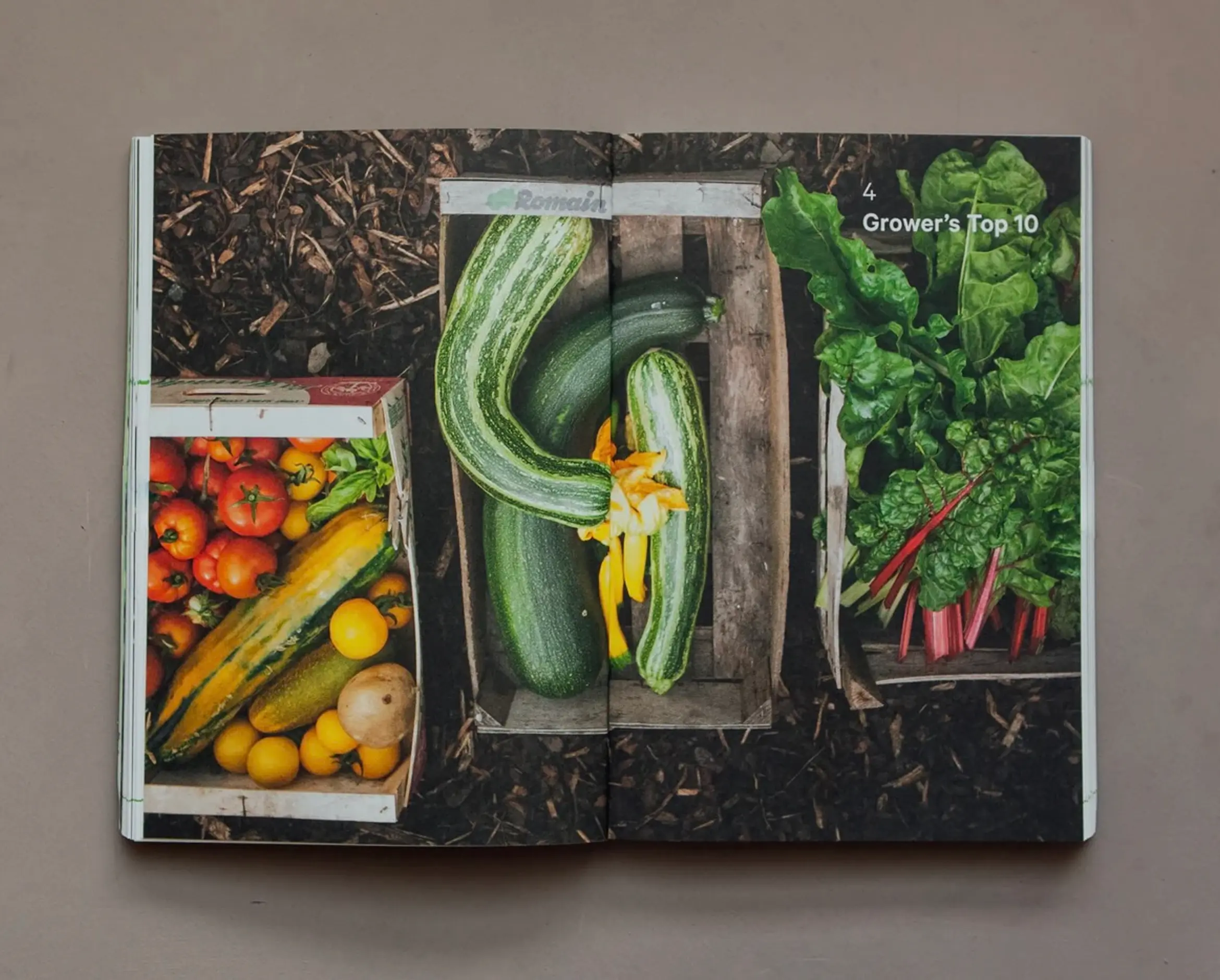 An image inside of the 'Do Grow' book with an image of home grown zucchini, tomatoes, rhubarb ontop of soil.