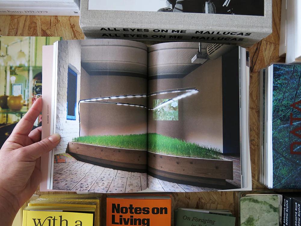 A image inside of the Seeds Reclaiming roots book showing, an image of a patch of growing grass with lights above it
