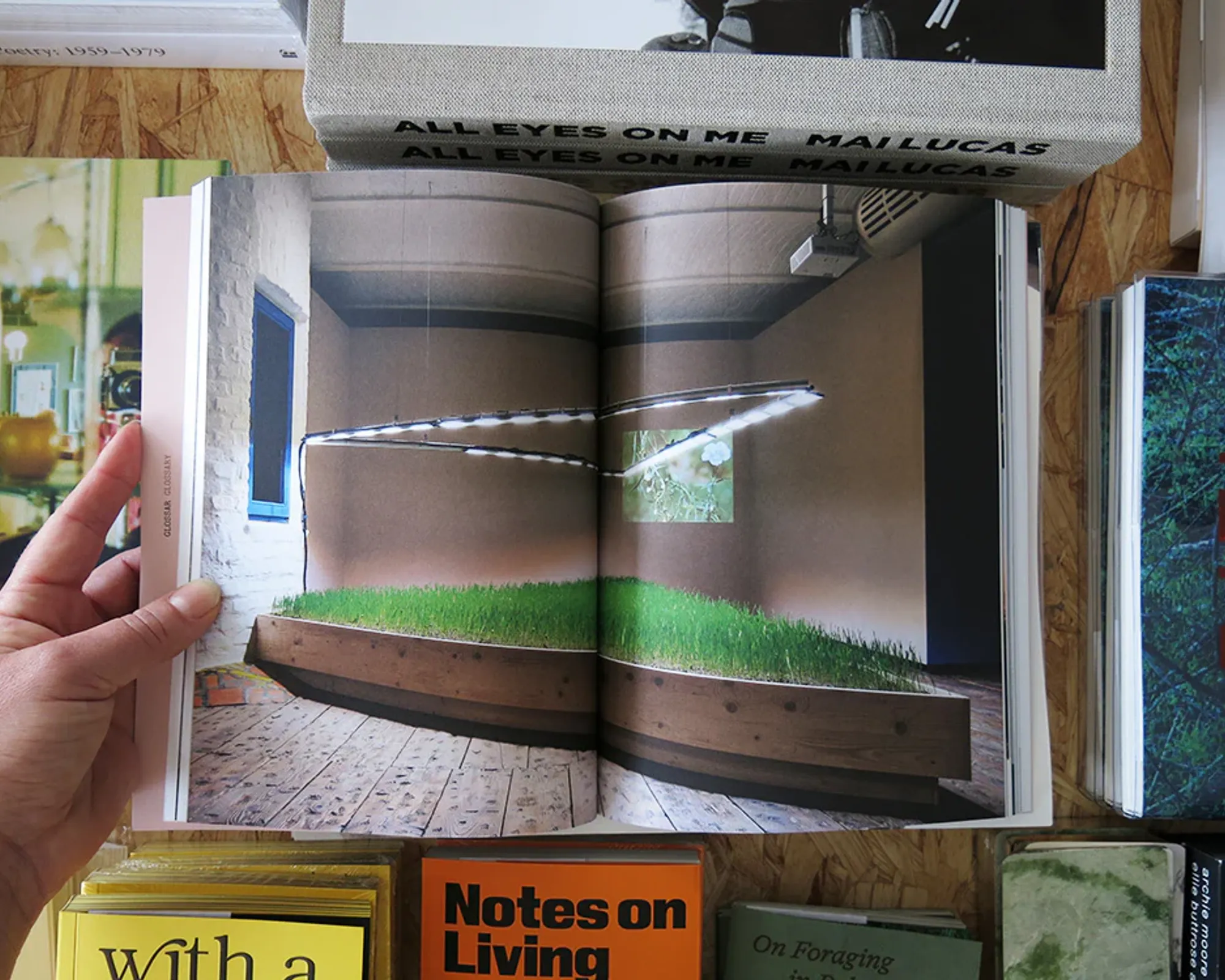 A image inside of the Seeds Reclaiming roots book showing, an image of a patch of growing grass with lights above it