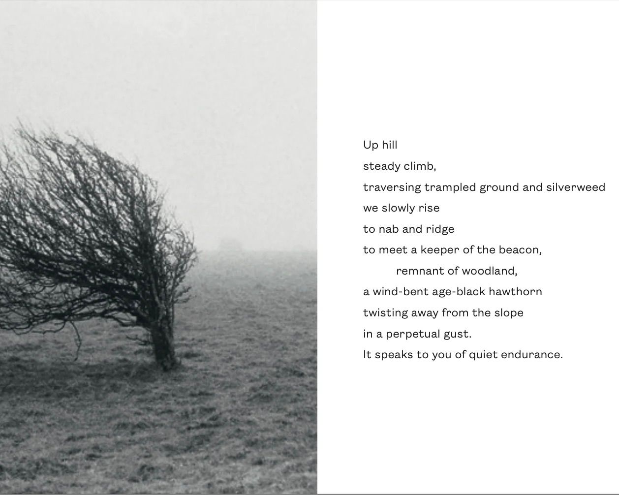 Path book featuring photography and visual storytelling exploring landscapes, nature and the relationship between people and their surroundings.