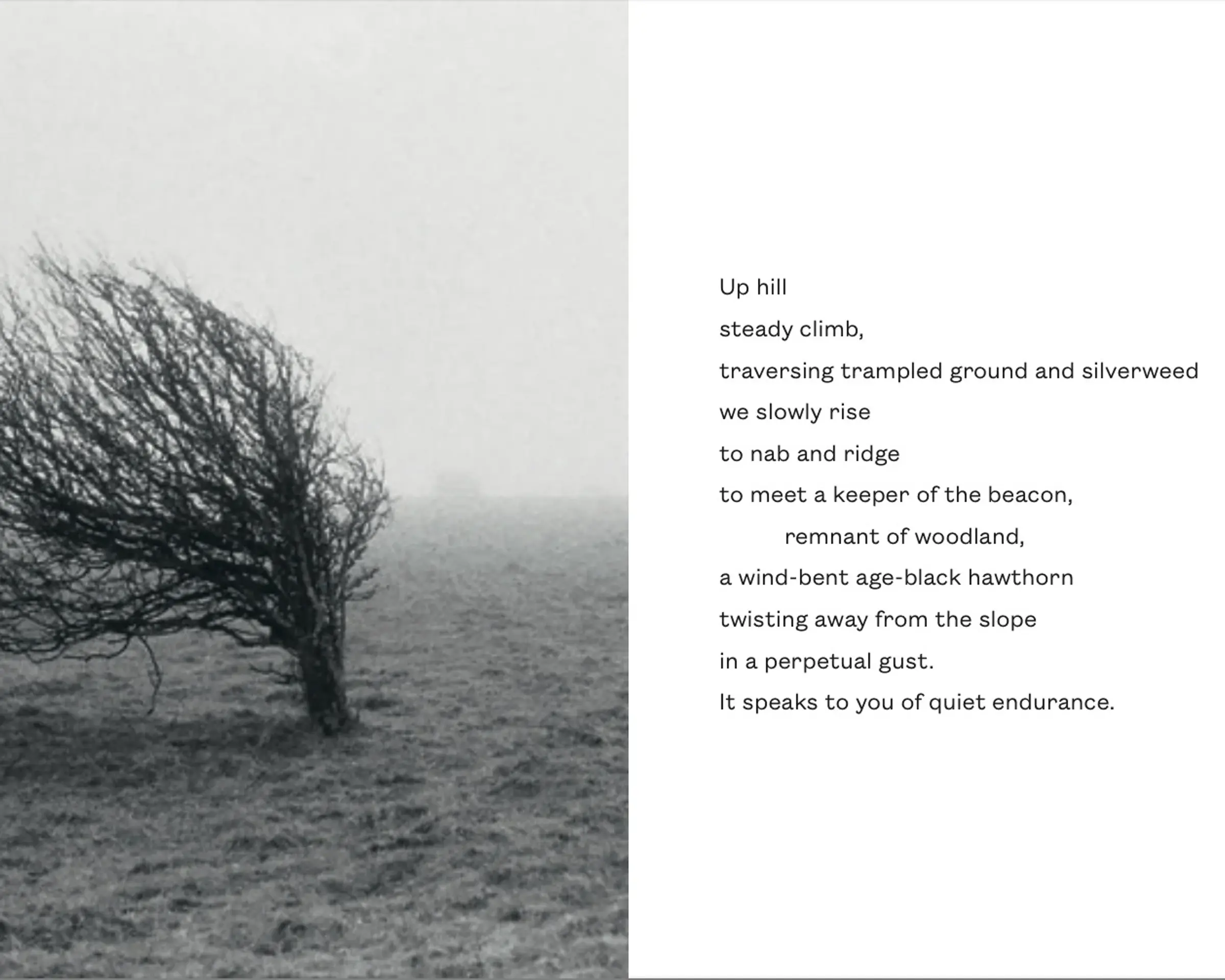 Path book featuring photography and visual storytelling exploring landscapes, nature and the relationship between people and their surroundings.