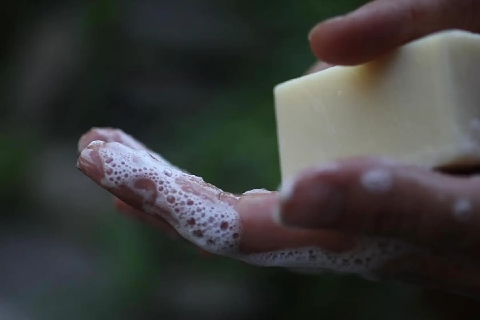 bar soap lathered in hands