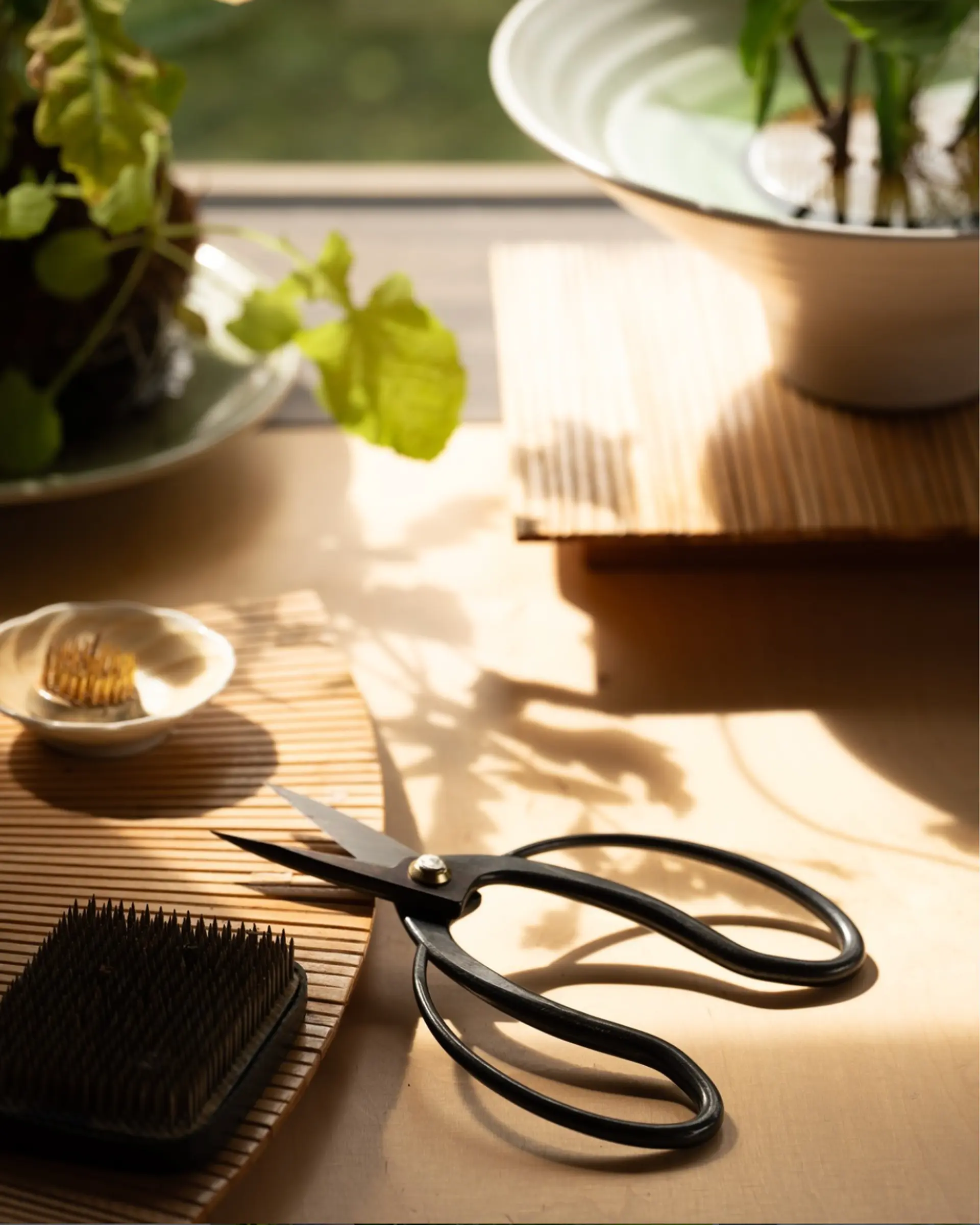 Niwaki scissors in situ