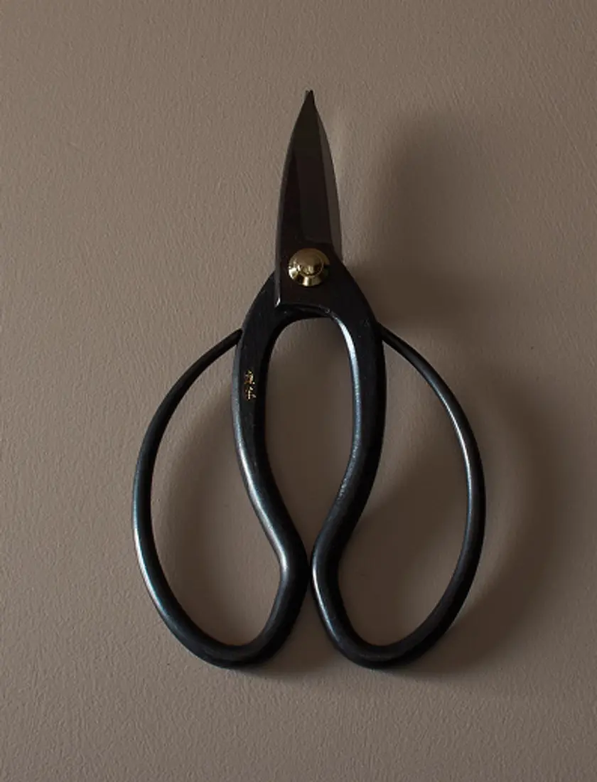 metal scissors with wide handles