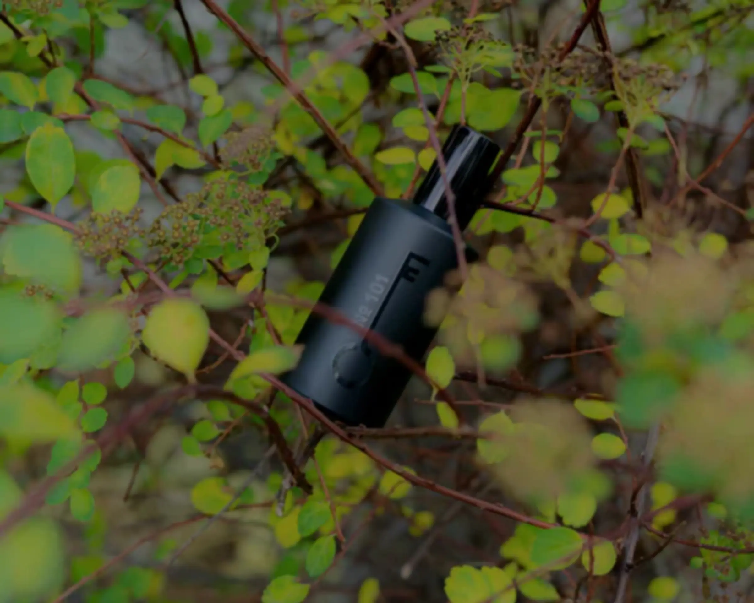 bottle of fischersund fragrance in a tree amongst leaves