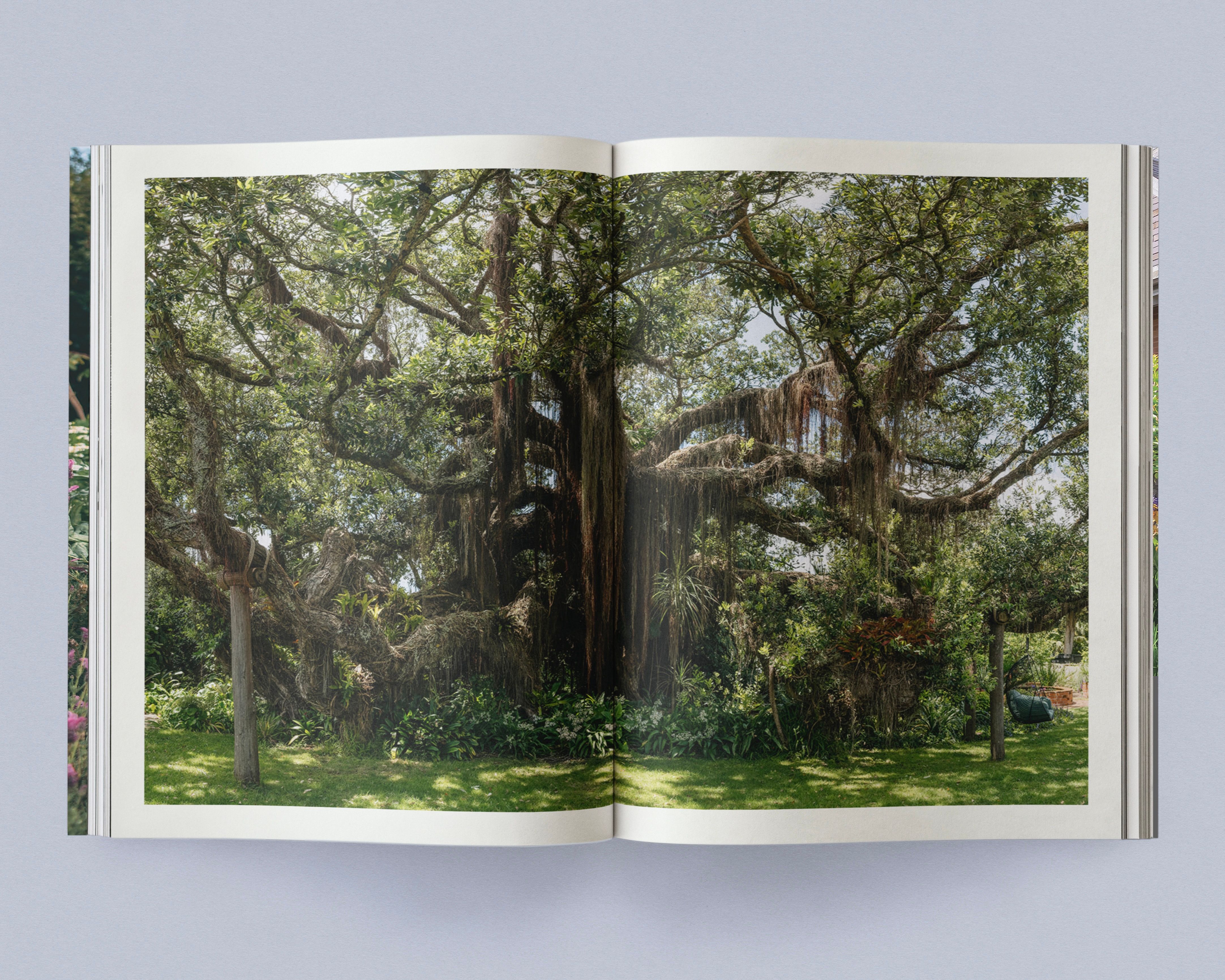 Sage Vol. 2: Our Creative Nature open to a photographic spread featuring a mature tree draped with epiphytes in a lush garden.