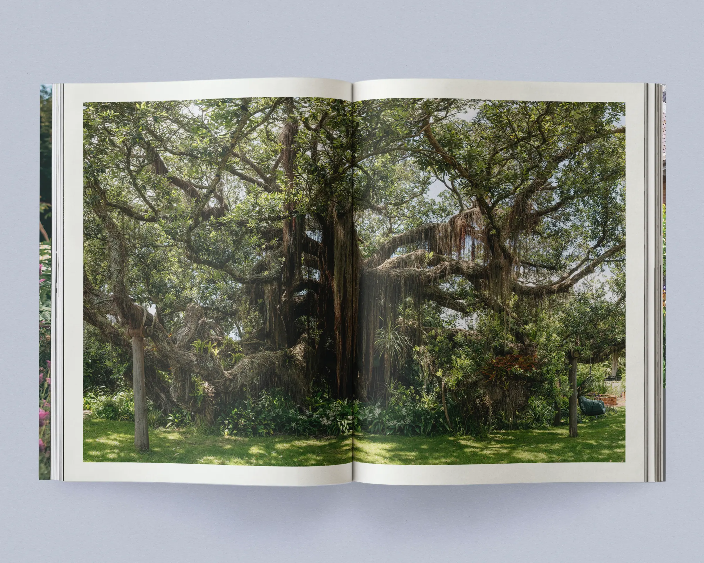 Sage Vol. 2: Our Creative Nature open to a photographic spread featuring a mature tree draped with epiphytes in a lush garden.