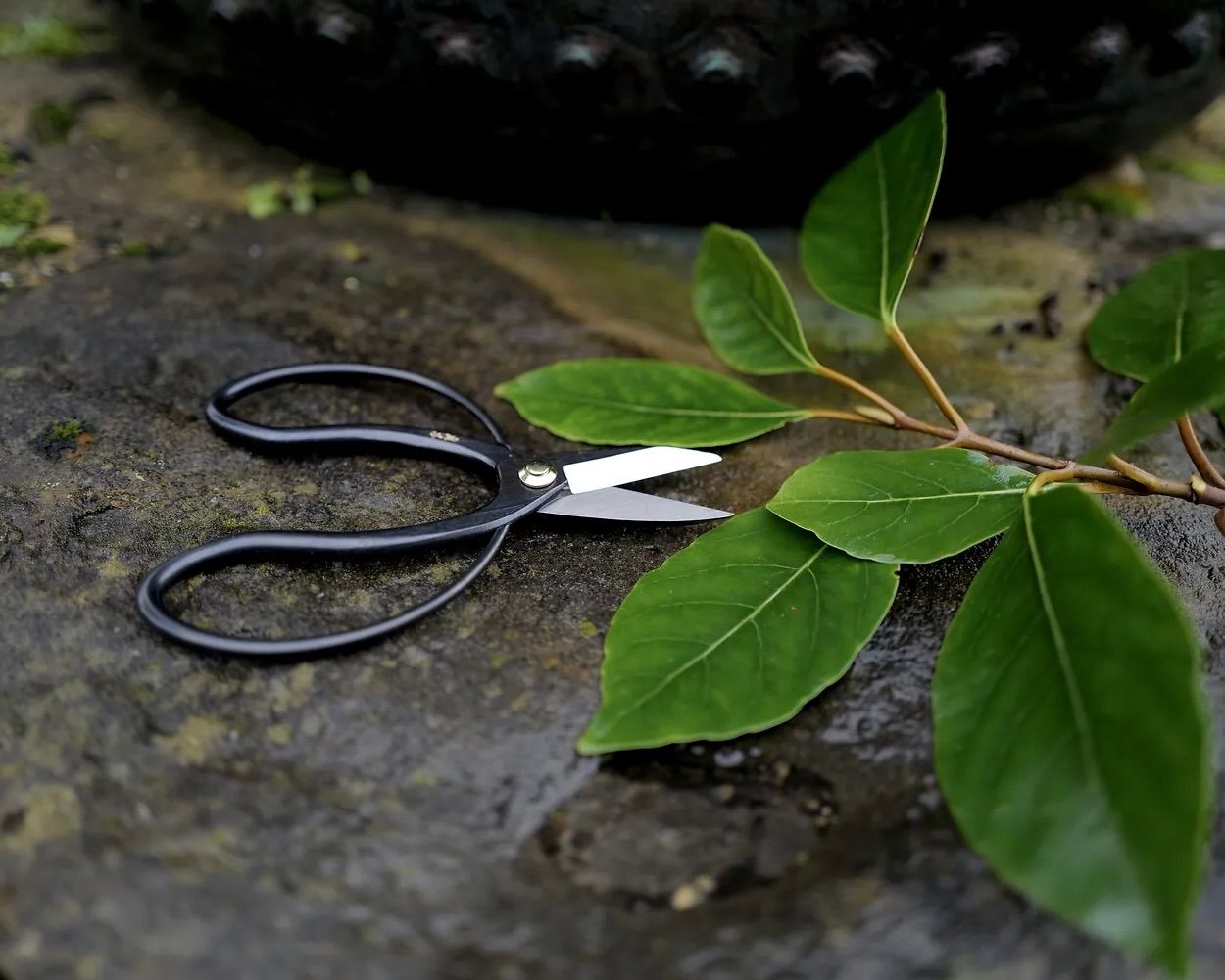 すわりんこ　HISASHI Higurashi Scissors