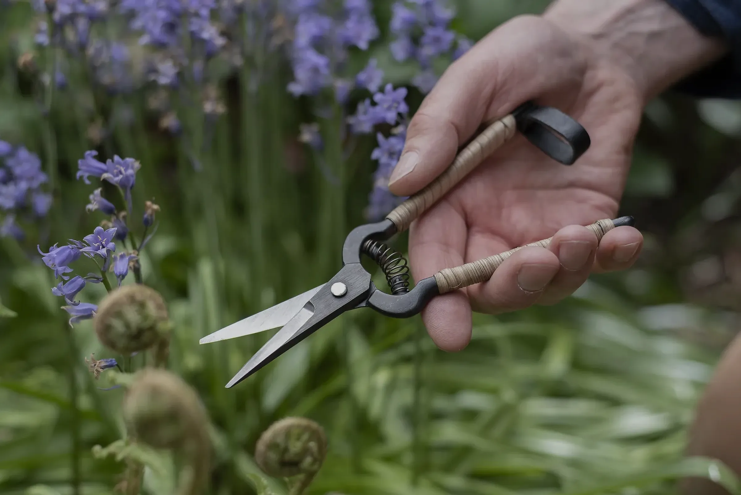 Niwaki Garden Snips