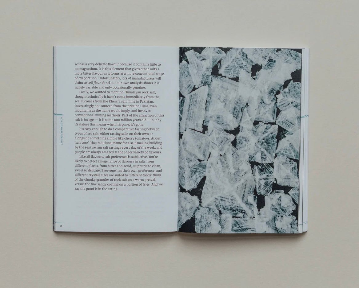 open pages of the Do sea salt, the magic of seasoning book with flakes of salt shown