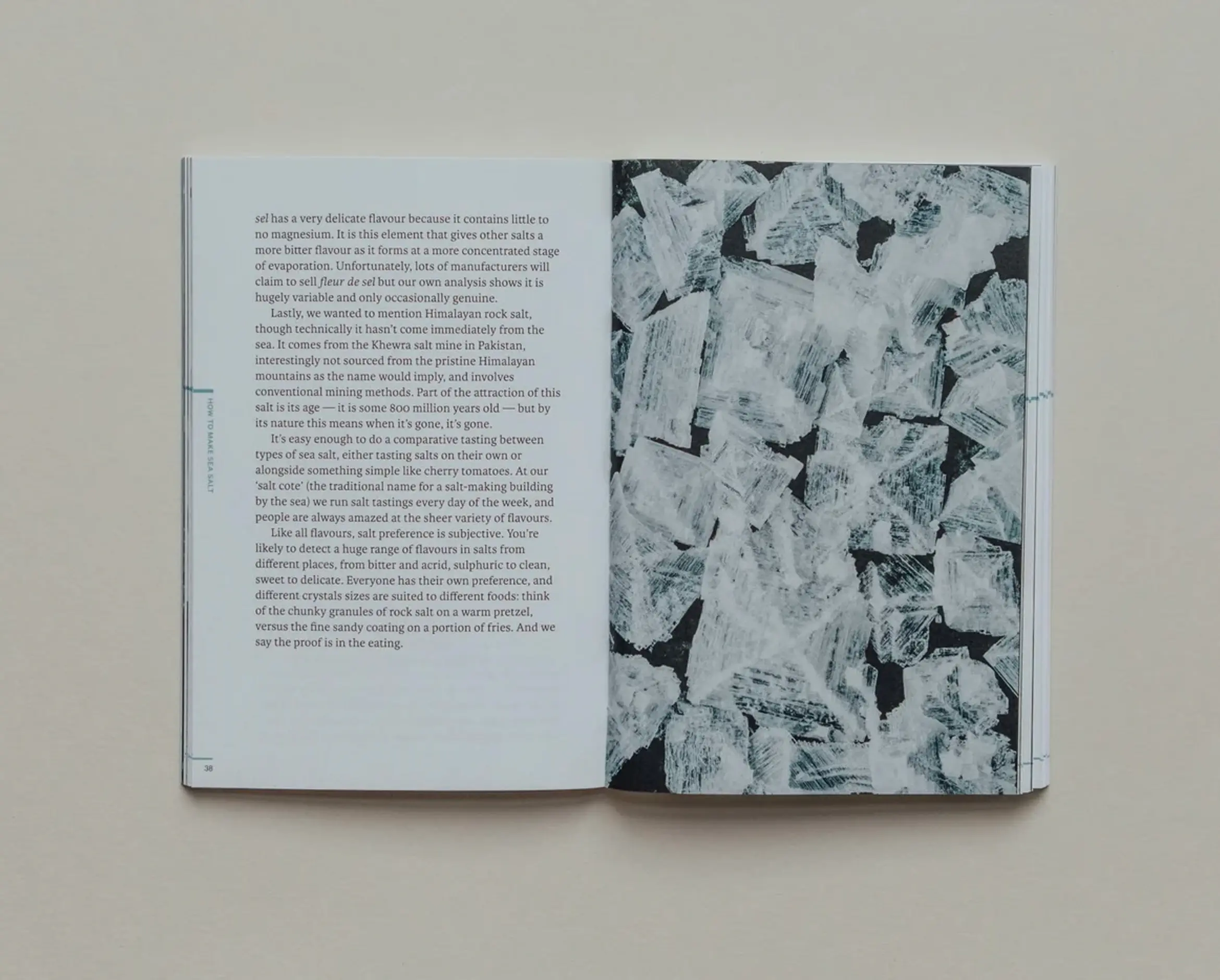 open pages of the Do sea salt, the magic of seasoning book with flakes of salt shown