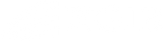 NGIR logo