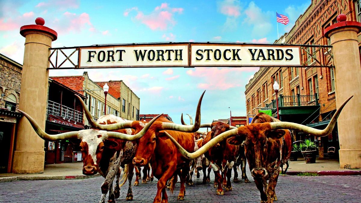 Lucky in Love: Fort Worth
