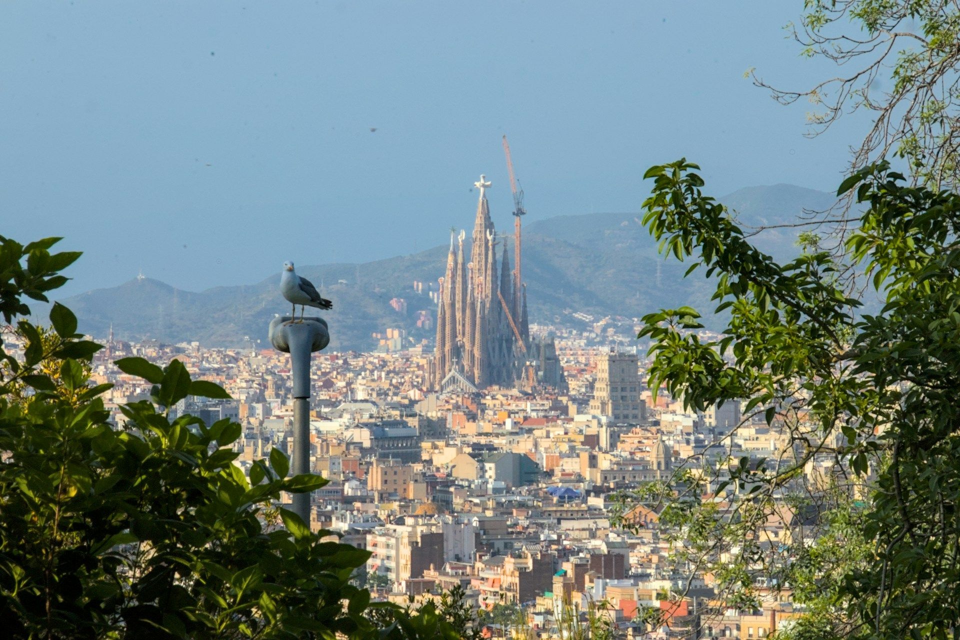 Sagrada Familia in Barcelona