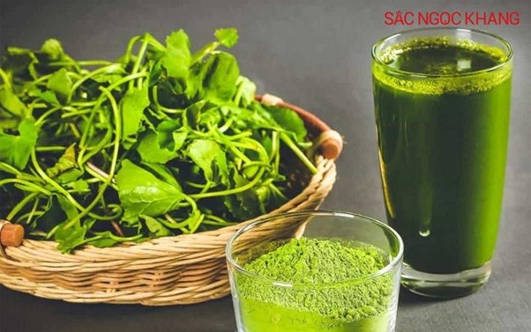 Rau má có tác dụng gì? Công dụng của rau má với sức khỏe và làn da