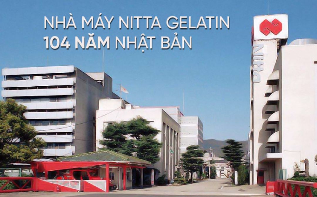 HTP PHARMA HỢP TÁC VỚI NHÀ MÁY 104 NĂM CUNG CẤP COLLAGEN HÀNG ĐẦU NHẬT BẢN – NITTA GELATIN