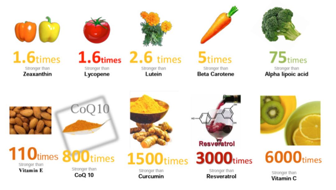 ĐỐI TÁC ASTAREAL NHẬT BẢN – NHÀ CUNG CẤP CHẤT CHỐNG OXY HÓA ASTAXANTHIN SỐ 1 THẾ GIỚI