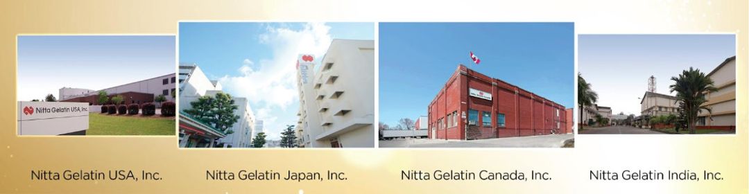 HTP PHARMA HỢP TÁC VỚI NHÀ MÁY 104 NĂM CUNG CẤP COLLAGEN HÀNG ĐẦU NHẬT BẢN – NITTA GELATIN