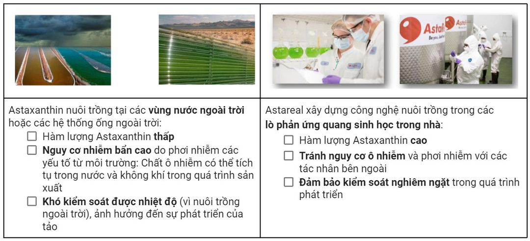 ĐỐI TÁC ASTAREAL NHẬT BẢN – NHÀ CUNG CẤP CHẤT CHỐNG OXY HÓA ASTAXANTHIN SỐ 1 THẾ GIỚI