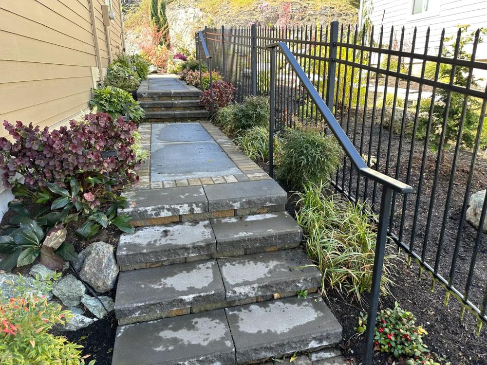 Pathway with lush plantings on both sides