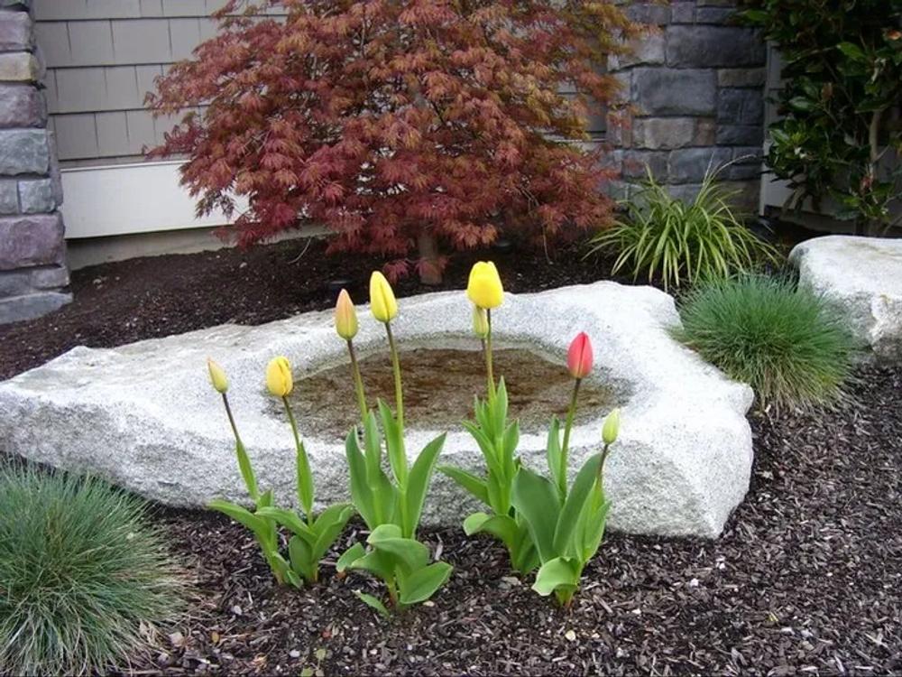 Rock and water feature combination