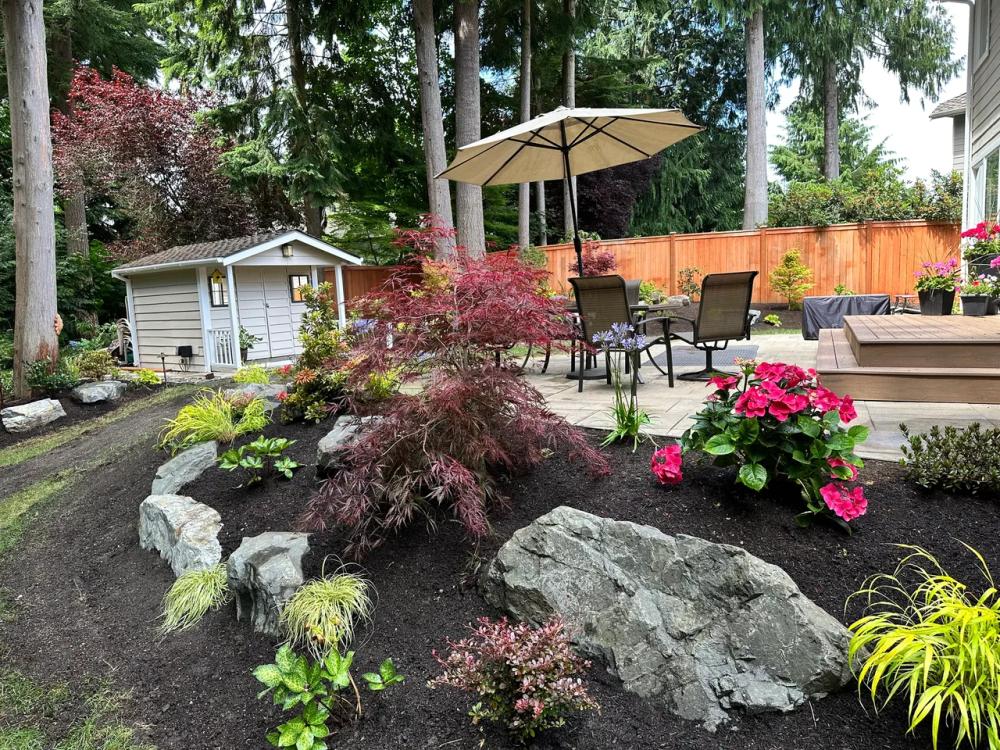 Japanese Maple and mixed plantings beside a patio