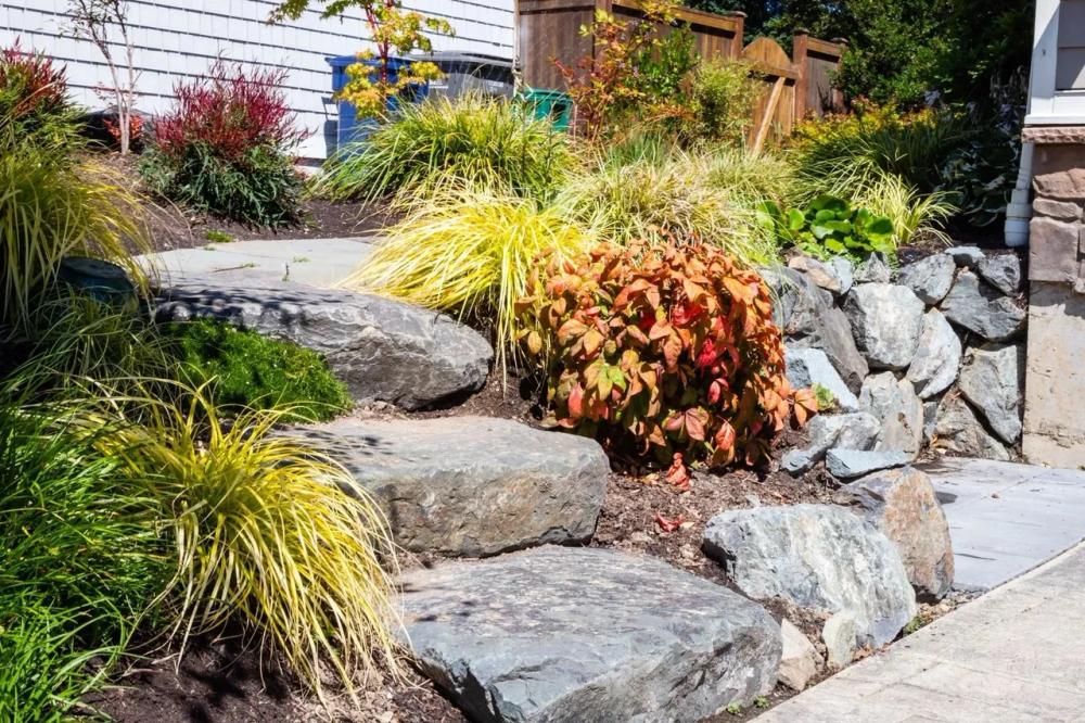 Planted walkway border
