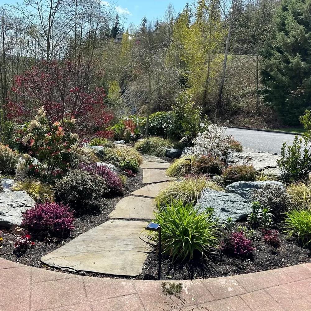 Colorful garden bed with layered plantings