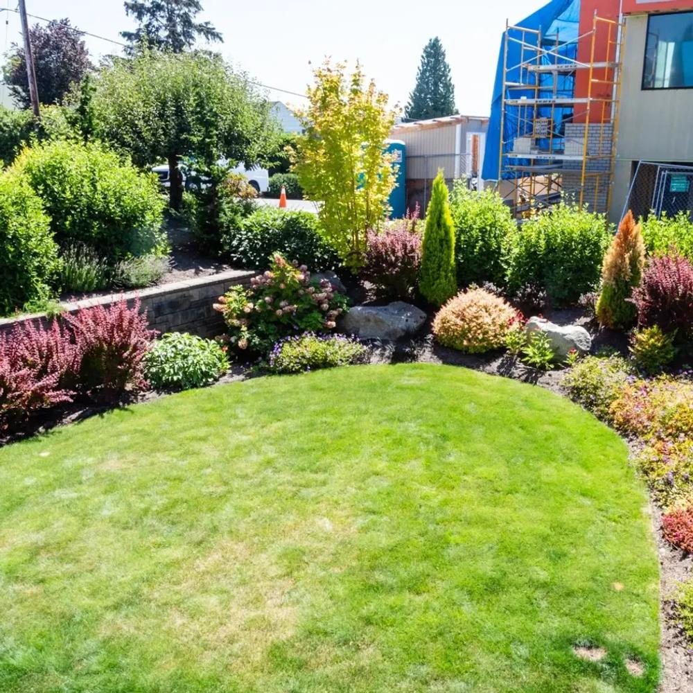 Lush green lawn and planting beds