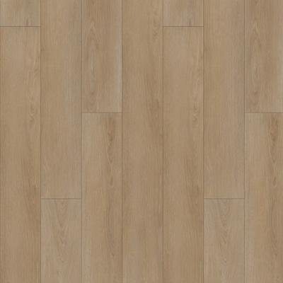 Desert Oak SPC Parke WD 207 -PL