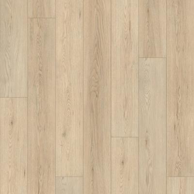 Excelsior SPC Parke DM 303 -PL