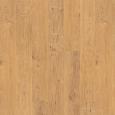 Norwegian Maple