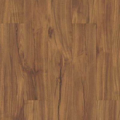 Gold Coast Acacia