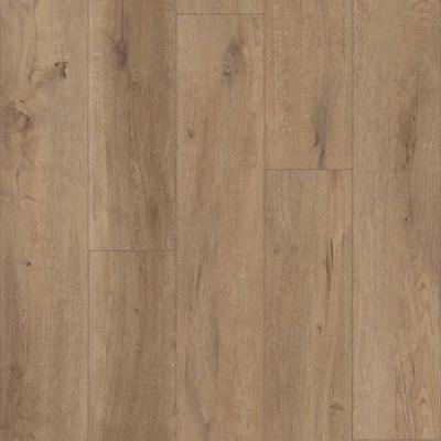 Goldin Oak