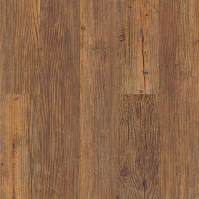 Carolina Pine