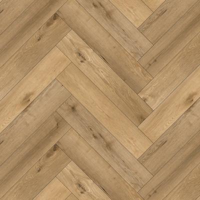 Natural Oak SPC Parke AC 502 -HR