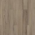 Baywood Oak