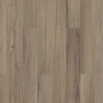 Baywood Oak
