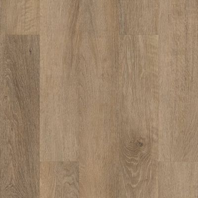 Brockport Oak