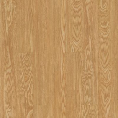 Rocky Mountain Oak