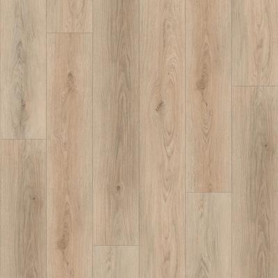 Eternity SPC Parke DM 304 -PL