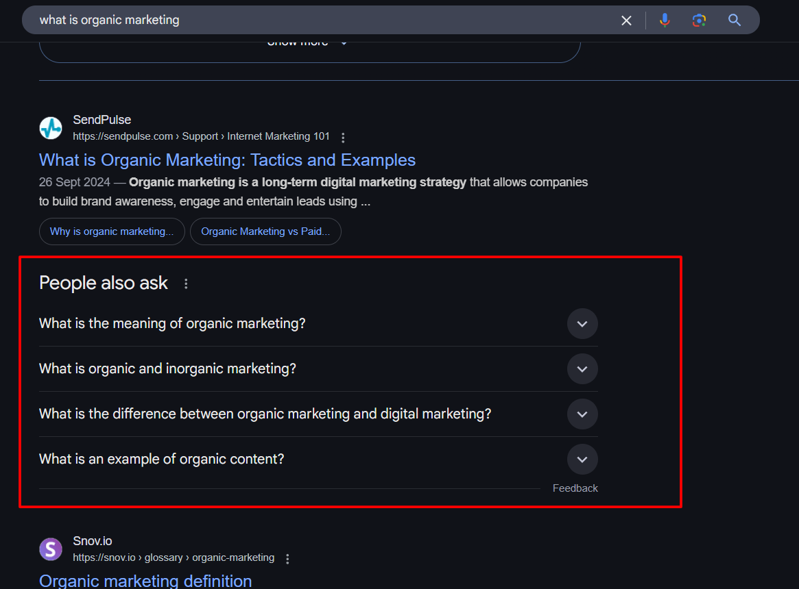 People Also Ask Box Example
