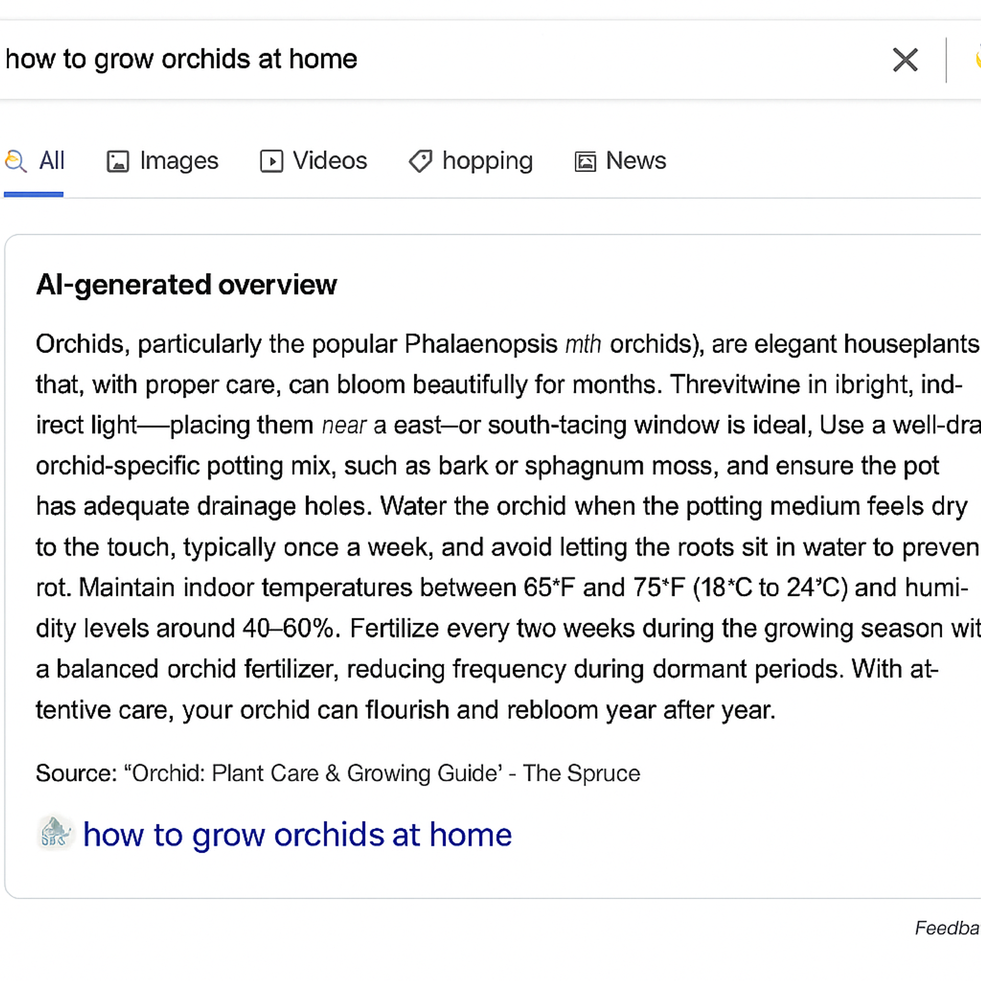 AI search overview 